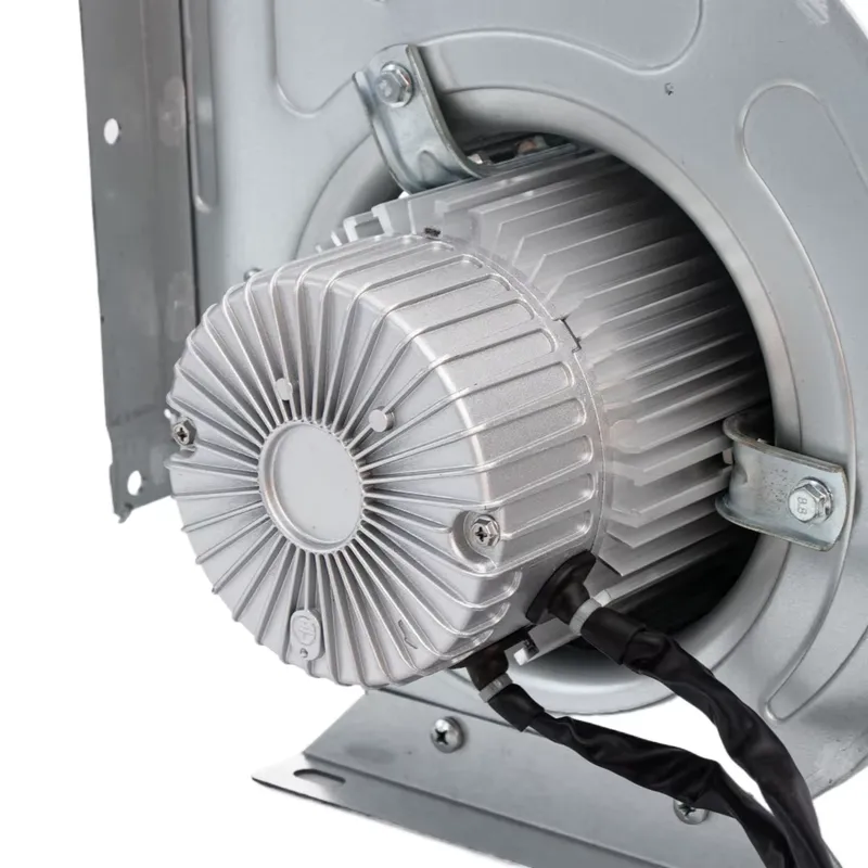 Ventilatore Centrifugo EC AC a - Commercial Kitchen Hood Exhaust Fans recensione e prezzo