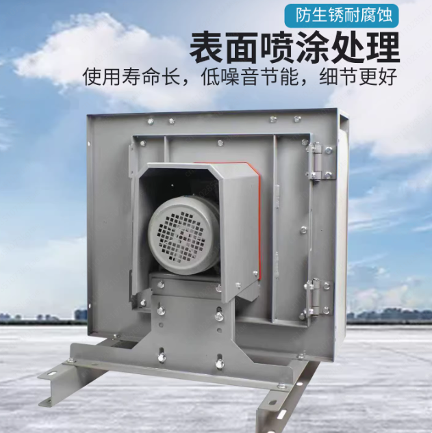 Ventilatore Centrifugo Silenzi - Commercial Kitchen Hood Exhaust Fans recensione e prezzo